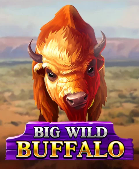 Play Big Wild Buffalo at Juicy Vegas Casino